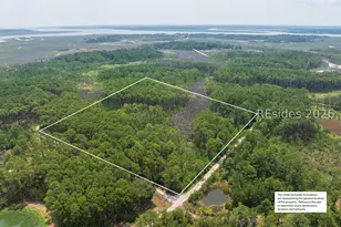 Tbd Carissa Ln, Beaufort, SC 29007 - Photo 30