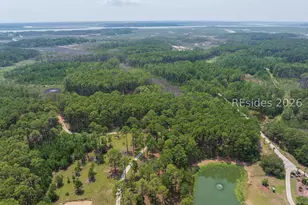 Tbd Carissa Ln, Beaufort, SC 29007 - Photo 6