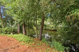 40 Planters Wood Dr, Hilton Head Island, SC 29928 - Photo 42