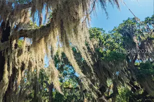 170 Old Haig Point Rd, Daufuskie Island, SC 29915 - Photo 64