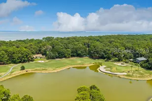 11 China Cockle Way, Hilton Head Island, SC 29926 - Photo 64
