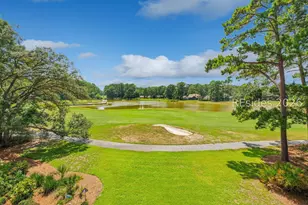 11 China Cockle Way, Hilton Head Island, SC 29926 - Photo 54