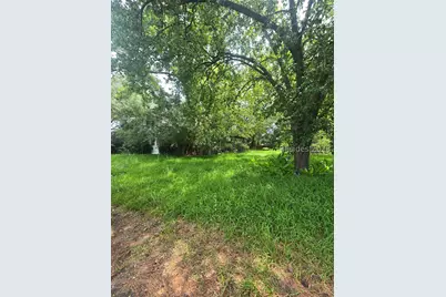 65 Furman Scotia Highway, Estill, SC 29918 - Photo 6