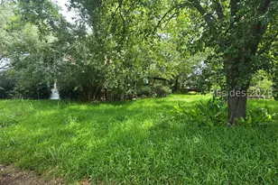 65 Furman Scotia Hwy, Estill, SC 29918 - Photo 6