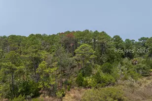 72 Canine Dr, Beaufort, SC 29907 - Photo 28