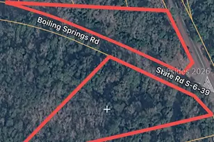 121 Boiling Springs Rd, Kline, SC 29812 - Photo 1