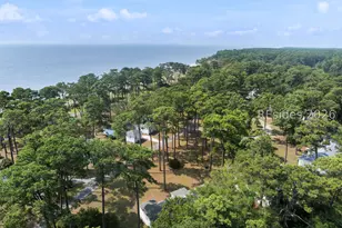161 Avenue of Oaks, Daufuskie Island, SC 29915 - Photo 44
