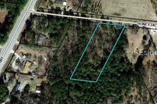 90 Honey Dr, Walterboro, SC 29488 - Photo 1