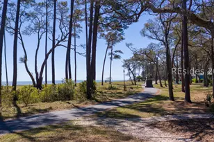133 Avenue of Oaks, Daufuskie Island, SC 29915 - Photo 54
