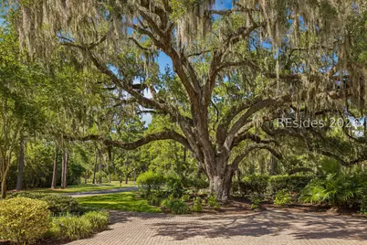 38 Whitehall Drive, Bluffton, SC 29910 - Photo 6