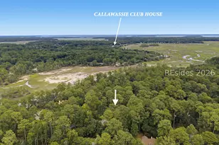 226 Callawassie Dr, Okatie, SC 29909 - Photo 56