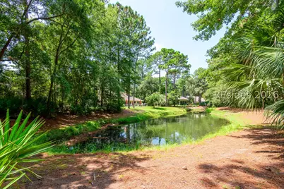 9 Shadewood Lane, Hilton Head Island, SC 29926 - Photo 38