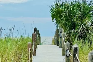 1 Fuskie Ln, Daufuskie Island, SC 29915 - Photo 28