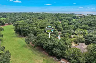 46 Barony Ln, Hilton Head Island, SC 29928 - Photo 42