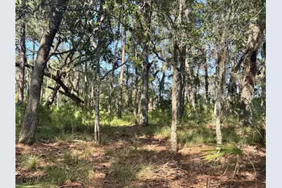 7 N Point Trail, Beaufort, SC 29907 - Photo 4