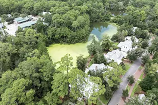34 Walnut Grv St, Bluffton, SC 29910 - Photo 66