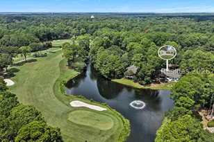 6 Balsams Ct, Hilton Head Island, SC 29926 - Photo 48