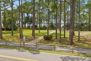 4 Braddock Bluff Dr, Hilton Head Island, SC 29928 - Photo 58