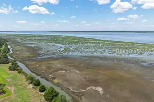 1 The Horseshoe, Beaufort, SC 29907 - Photo 48