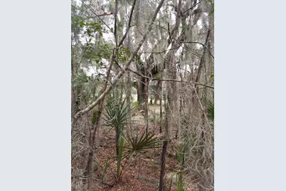 8 Governer Blake Drive, Beaufort, SC 29907 - Photo 2