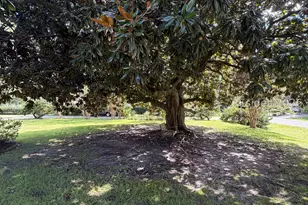 1703 Riverside Dr, Beaufort, SC 29902 - Photo 42