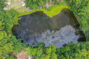 354 Long Pond Rd, Rincon, GA 31326 - Photo 64