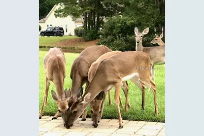 145 Knightsbridge Road, Bluffton, SC 29910 - Photo 40