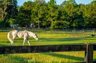 25 Coventry Ct, Bluffton, SC 29910 - Photo 54