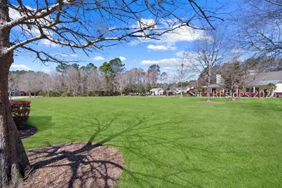 95 Plumgrass Street, Bluffton, SC 29910 - Photo 44