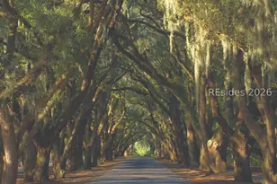 243 Belfair Oaks Blvd, Bluffton, SC 29910 - Photo 64