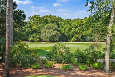 248 Mount Pelia Road, Bluffton, SC 29910 - Photo 52