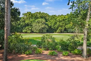 248 Mt Pelia Rd, Bluffton, SC 29910 - Photo 52