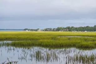 16 Song Sparrow Ln, Hilton Head Island, SC 29928 - Photo 38