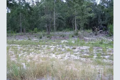 401-1A Stock Farm Road, Ridgeland, SC 29936 - Photo 4