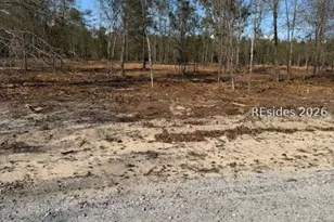 401-2A Stock Farm Rd, Ridgeland, SC 29936 - Photo 1