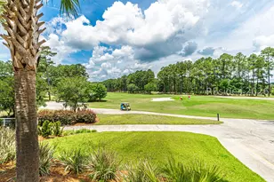 107 Holly Ribbons Cir, Bluffton, SC 29909 - Photo 68