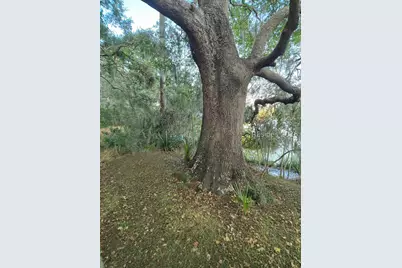 198 Bull Point Drive, Seabrook, SC 29940 - Photo 6