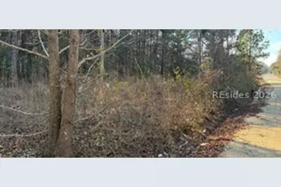 278 Sylvester Road, Varnville, SC 29944 - Photo 2