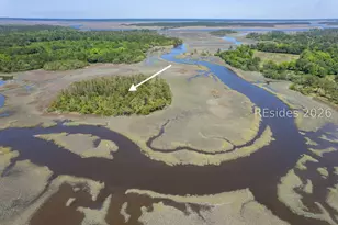 Tbd Wimbee Creek Island, Seabrook, SC 29940 - Photo 1