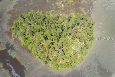 Tbd Wimbee Creek Island, Seabrook, SC 29940 - Photo 14