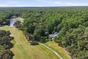 42 Black Gum Ln, Hilton Head Island, SC 29926 - Photo 62