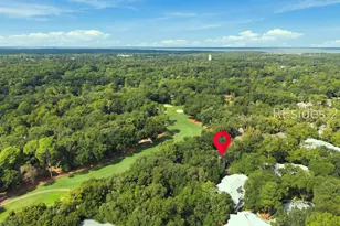 30 Wimbledon Ct, Hilton Head Island, SC 29928 - Photo 38