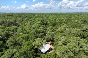 85 Prospect Rd, Daufuskie Island, SC 29915 - Photo 60