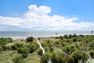1 Fuskie Ln, Daufuskie Island, SC 29915 - Photo 48