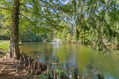 10 Raven Lane, Bluffton, SC 29909 - Photo 28