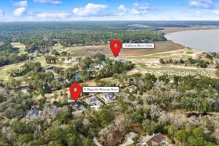 11 Magnolia Blossom Dr, Bluffton, SC 29910 - Photo 52