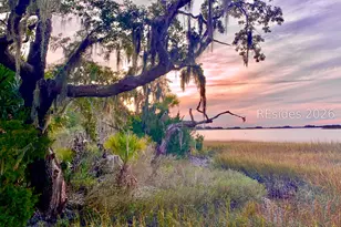 129 Avenue of Oaks, Daufuskie Island, SC 29915 - Photo 18
