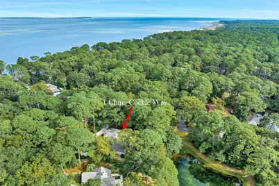 1 China Cockle Way, Hilton Head Island, SC 29926 - Photo 1