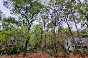 34 Old Sawmill Dr, Bluffton, SC 29910 - Photo 1