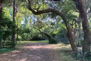 207 Stuart Town Rd, Beaufort, SC 29902 - Photo 1